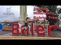 Things To Do in Baler Aurora - Surfing Capital of the Philippines - Vlog 4