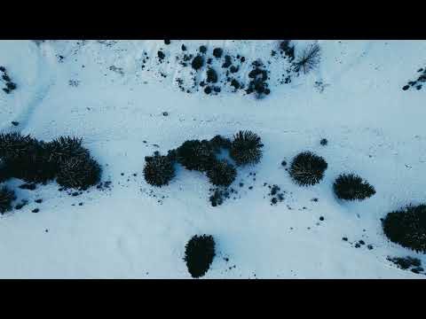 Texturi de iarnă