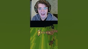 HYPIXEL SKYBLOCK FUN FACT! #alexjc #hypixelskyblock #skyblock #skyblockhypixel #hypixel