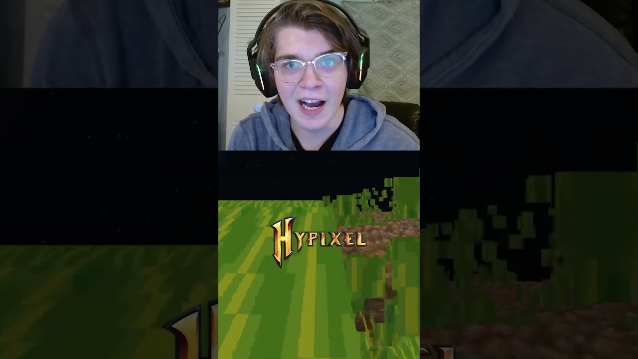 HYPIXEL SKYBLOCK FUN FACT! 