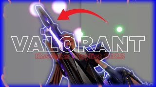 Ultimate KovaaK's VALORANT Playlist for MOUSE CONTROL *2023*