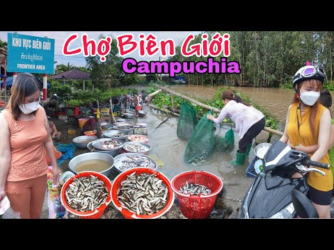 Video Về biên giới gặp toàn đặc sản đồng Campuchia sang Chợ... - youtube