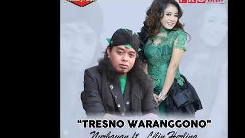 TRESNO WARANGGONO nurbayan ft.lilin herlina