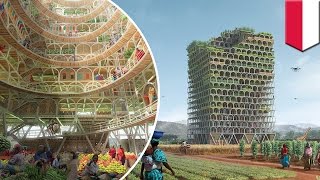 Skyscraper Competition 2017: Moveable Mashambas Skyscraper wins first place - TomoNews