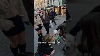I took my dog to Liverpool!! Full video out now!!👇🏿😆 #doglover #viral #dogs #pets #famous #viola