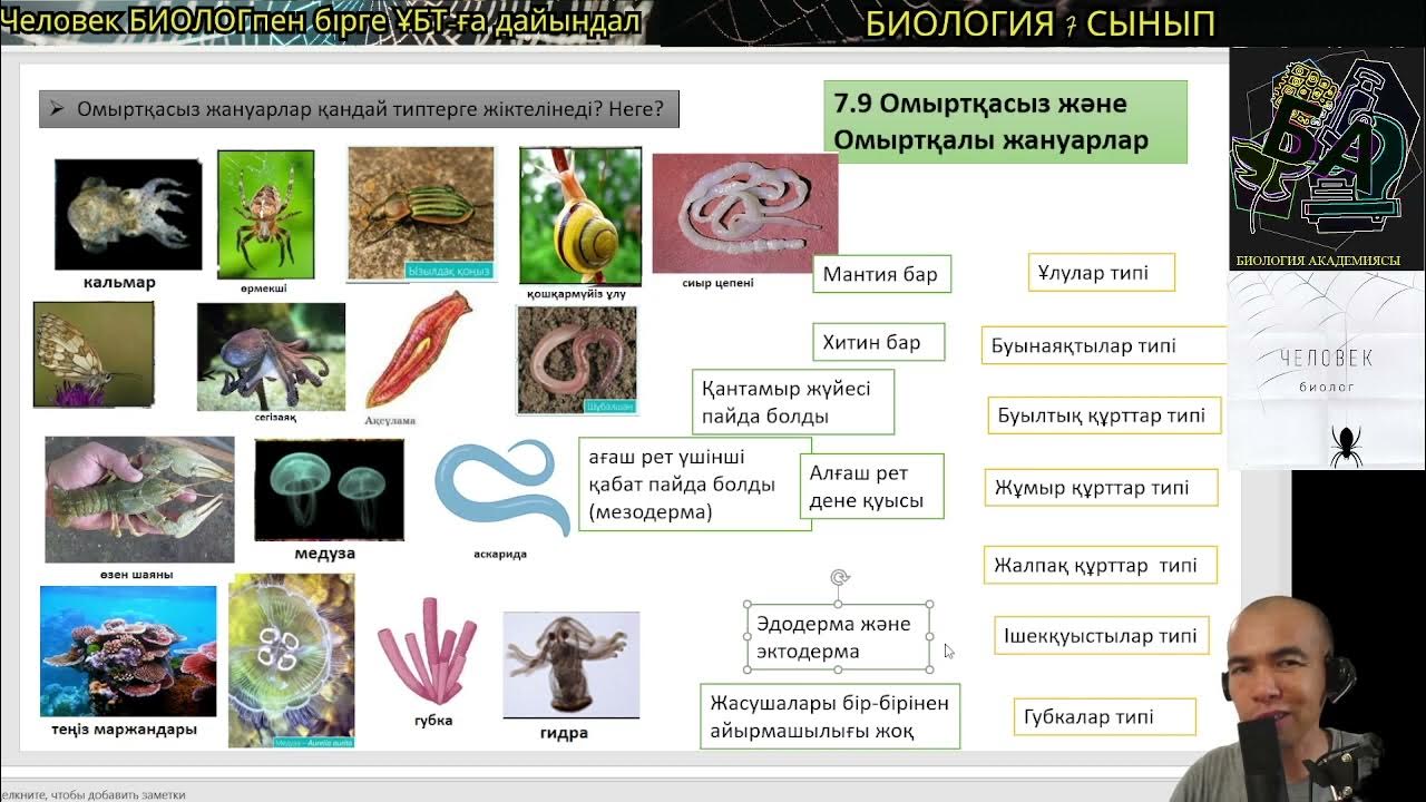 Жалаңаш қыздардың клиптері онлайн