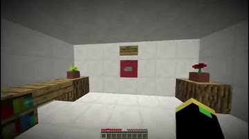 Test 11232 - Minecraft Puzzle Map Let
