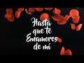 Hasta que te Enamores de mí (BookTrailer)