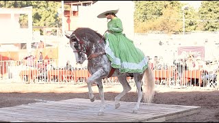 CABALLOS BAILADORES EN LA EXPO GANADERA JALISCO 2021 | Cat Infantil