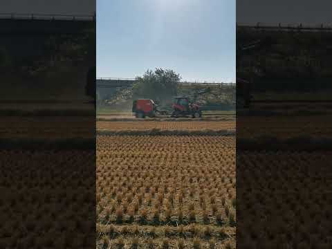 kiashito sakaiya - YouTube