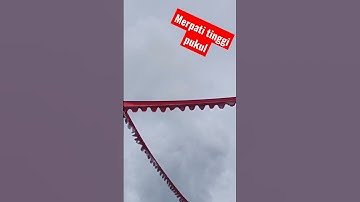 SPECIAL MERPATI TINGGI PUKUL WONOSOBO