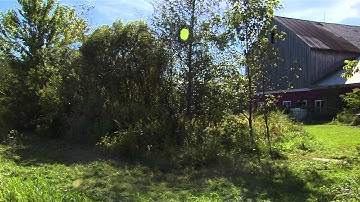 Multifunctional Buffers