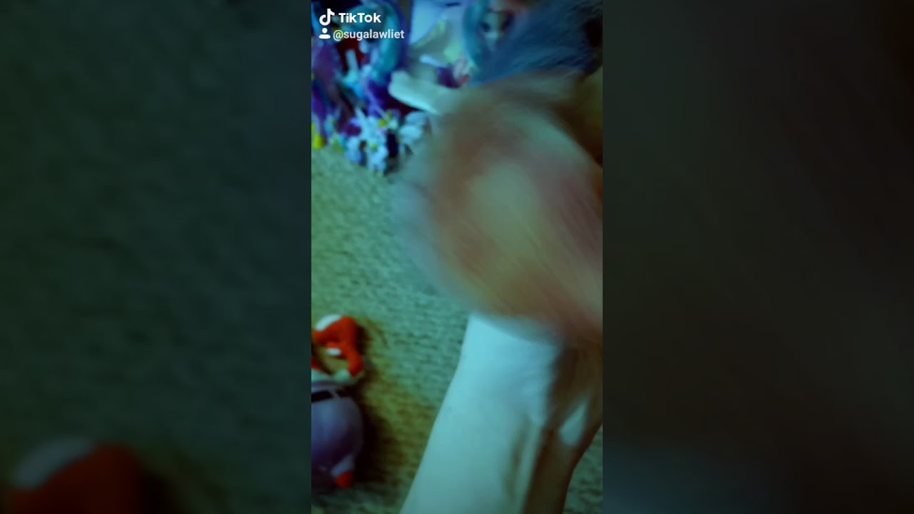 TikTok 9 CRABS YouTube