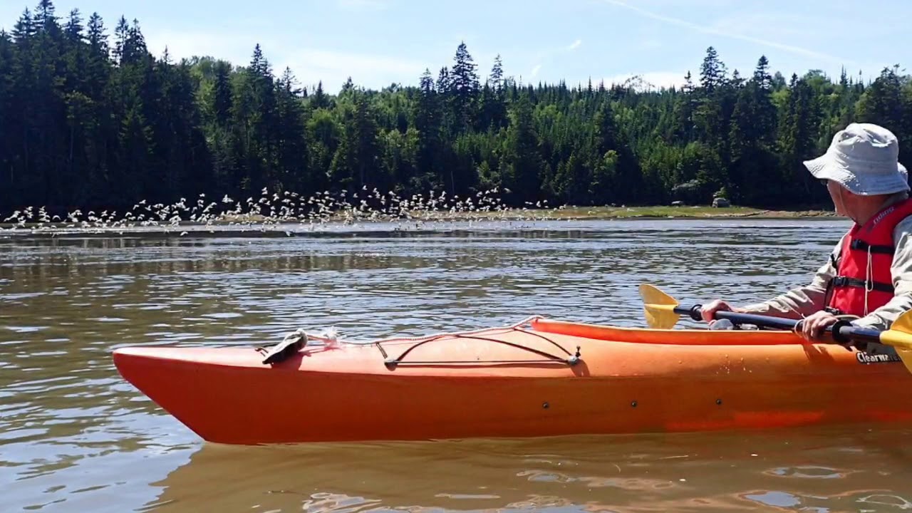 Musquash Paddle Promo Video