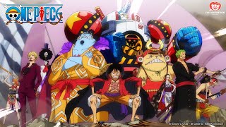 Al servizio del nostro Capitano! | One Piece 