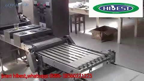 spring roll wrapper and samosa sheet line video