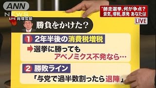 “師走選挙”安倍総理はなぜ勝負に？記者解説(14/11/21)