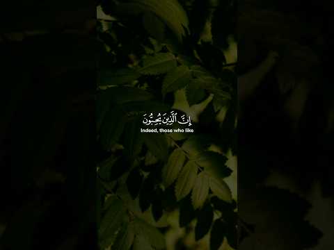 إن الذين يحبون أن تشيع الفاحشة في الذين آمنوا لهم عذاب أليم في الدنيا والآخرة احمد النفيس