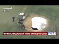 Cow plops down in sand trap on Oklahoma golf course