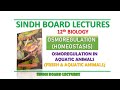 Sindh Board Lectures XII Biology Osmoregulation in Aquatic Animals (Fresh water & Marine)