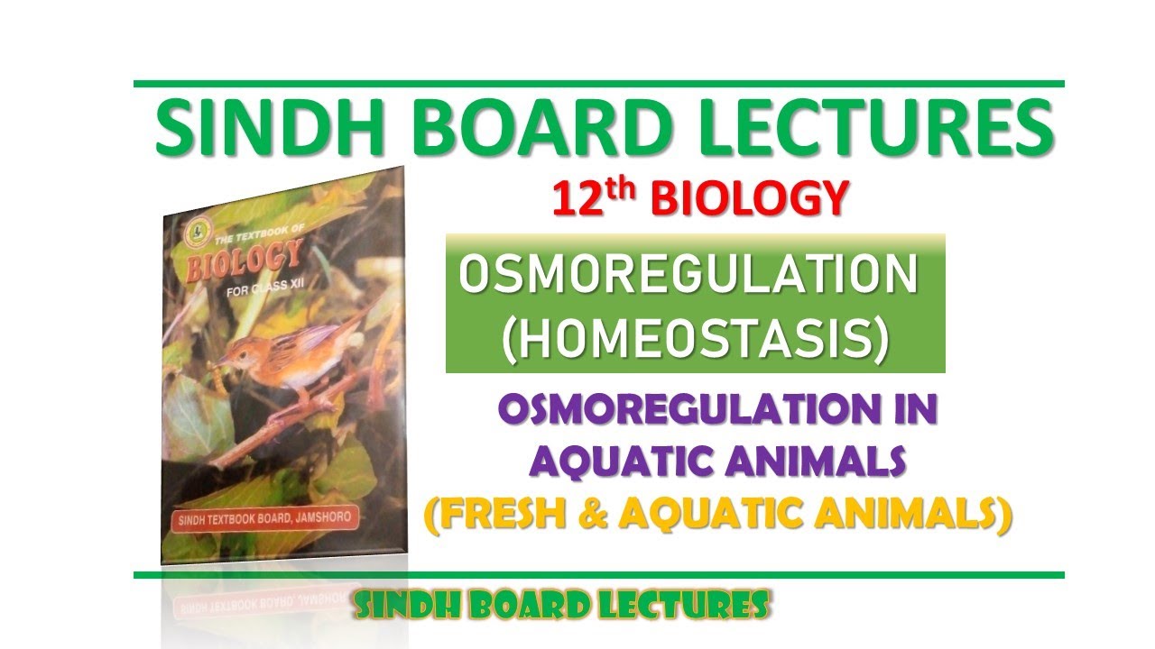 Osmoregulation in Aquatic Animals (Fresh Water & Marine) | XII Biology | Sindh Board Lectures