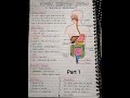 Digestive system. | #notes #intro #neet #anatomy  #biology #digestion #shorts #youtubeshorts #gnm