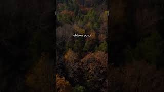 Trascender El Dolor...