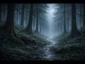 Stormy Forest Ambience | Relaxing Music for RPG, DnD, Study (1 Hour) – Faëden