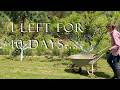 10 Days Away From The Garden… Weeds, Flowers &amp; Big Changes