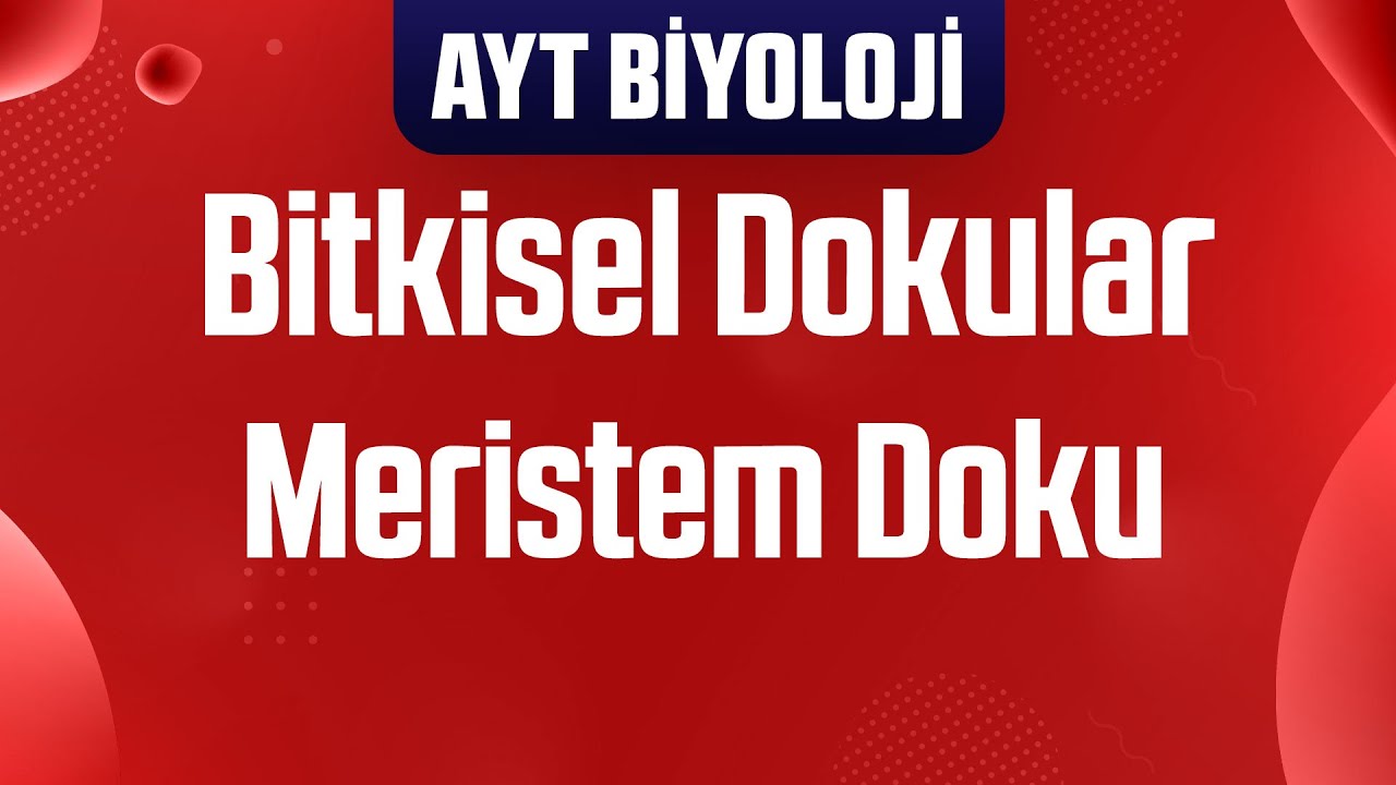 51) Bitkisel Dokular : Meristem Doku