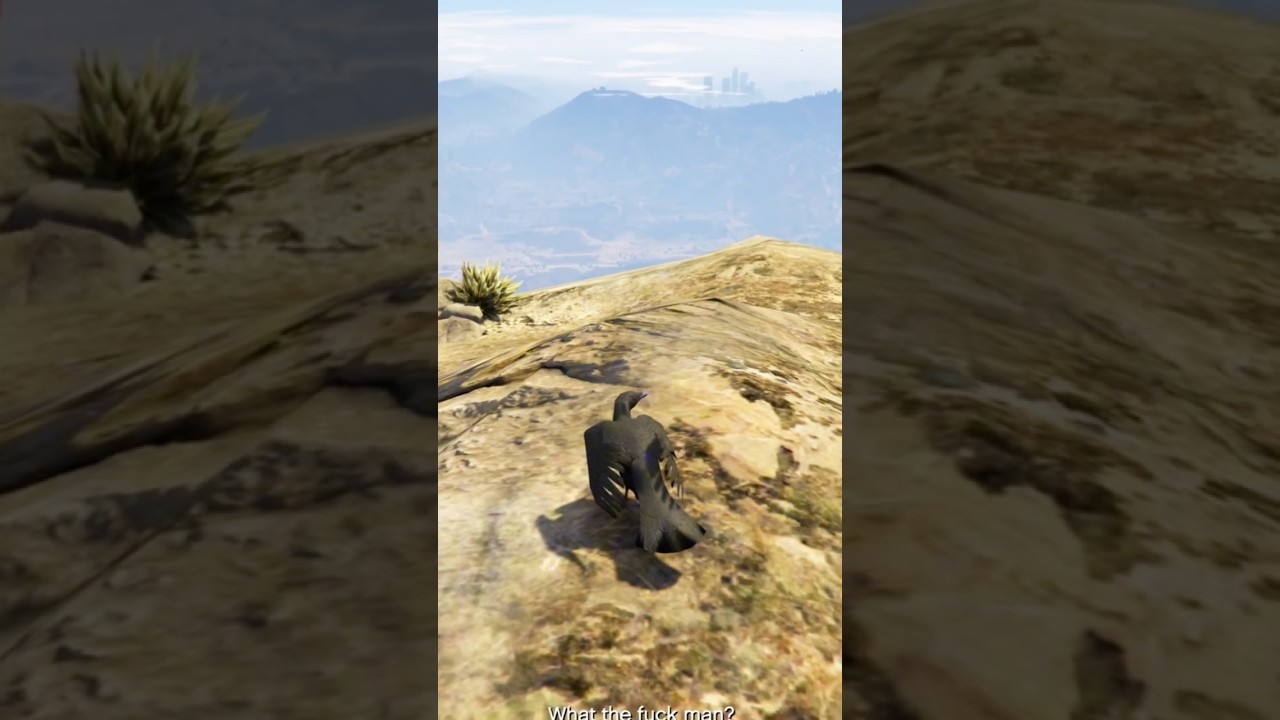 Секретное волшебное место в GTA 5, которое превращает вас в любое животное! 🐾✨ 