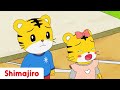 Come Back Birdy Compassion Full Episode 06 Kids Video For Kids Shimajiro