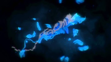 [INTRO] Datmx [ENTRY] [HOLY MOTHER OF F**K!!!]