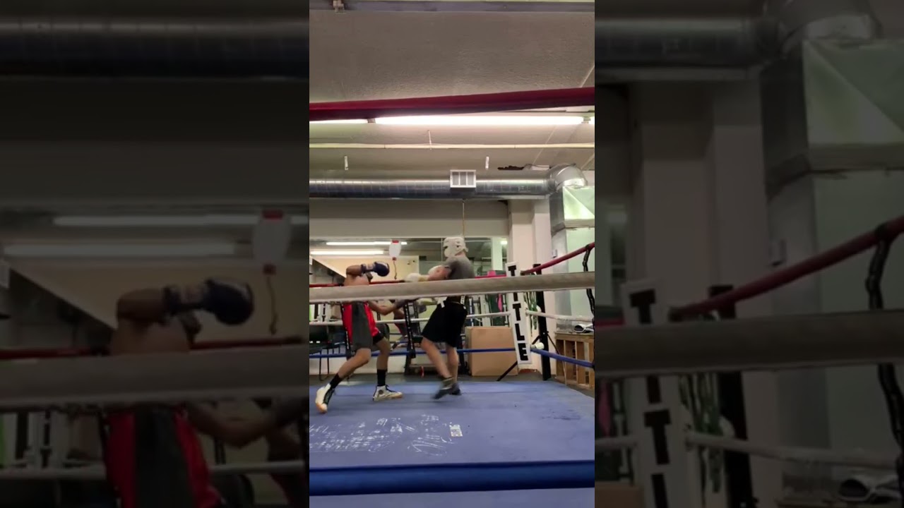 boxing -Training sparing