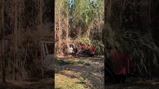 Forest Mulcher hit by tree. The machine gets its revenge #shorts #short