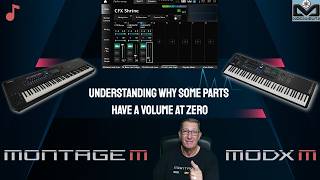 Understanding why some parts have a volume at zero on the MODX M and Montage M