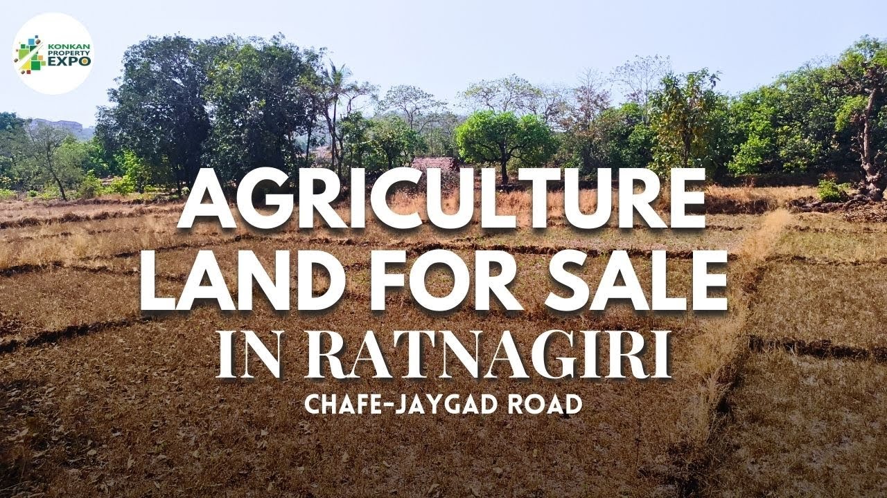 🏡 9 Acre & 14 Guntha Agriculture Land for Sale/Rent in Chafe, Ratnagiri 🌿Chafe-Jaygad Road Touch