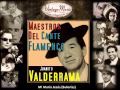 Juanito Valderrama - Mi María Jesús (Bulerías) (Flamenco Masters)