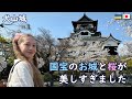 ウクライナ人が犬山祭りの幻想的な夜桜に感動!#犬山城 #桜