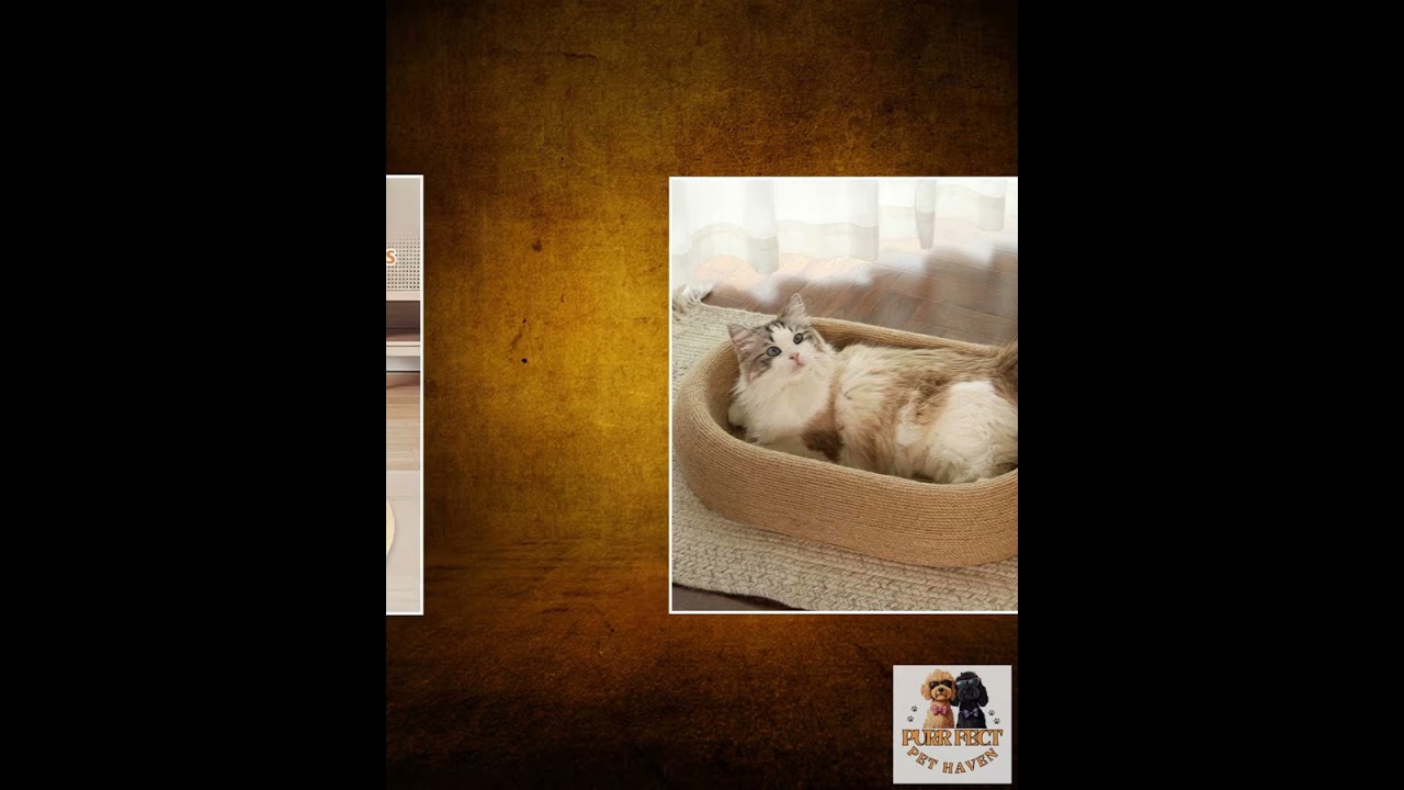 Large Space Sisal Cat Scratching Board Cat Bed