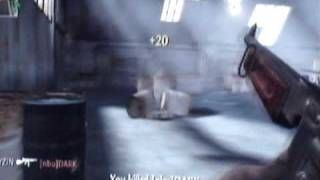 CoD WaW Wii Thompson Minitage