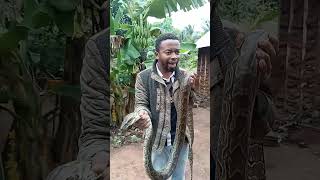 Wamemchokoza bibi yangu atutaki lawama jamani #nyoka #chiefpengo