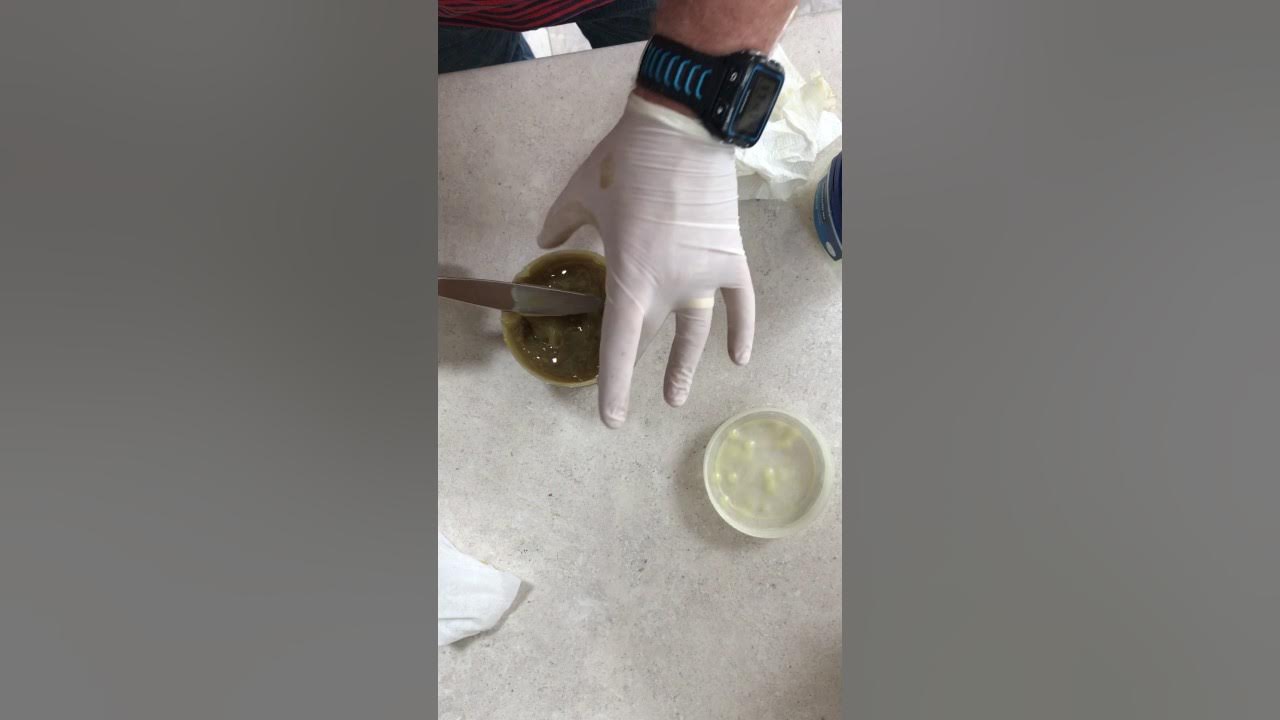 Channel swimming grease part 2 YouTube