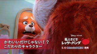 「私ときどきレッサーパンダ」かわいいだけじゃない！？こだわりのキャラクター