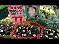 【必見】女性ホルモンを増やす食べ物と食事の仕方【雑学】
