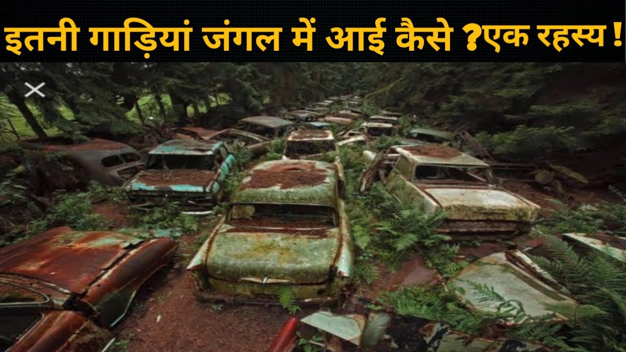 Mystery of Thousands of Cars Found in a Jungleजंगल में मिली हजारों