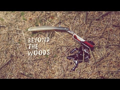 Beyond The Woods - fundit video