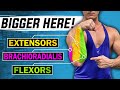 Forearms: The ONLY THREE Exercises You Need For Growth! (+Bonus "GRIP SPECIFIC" Exercises)