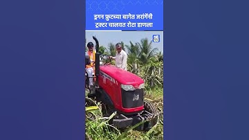 Manoj Jarange Patil  यांनी ड्रॅगन फ्रुट बागेवर चालवला रोटावेटर | Sakal News