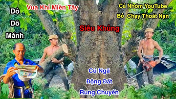 Tin Nóng Bỏ Chạy Thục Mạng Vua Khỉ Cưa Cây Điệp Siêu Khủng Kiếp Nạn YouTube Bỏ Quay Phim Tháo Chạy